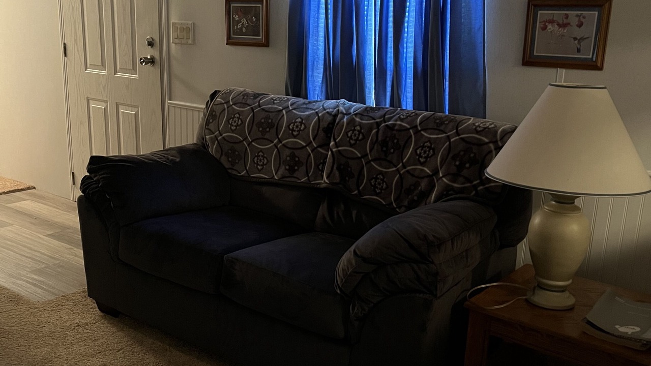 Photo of Livingroom in May