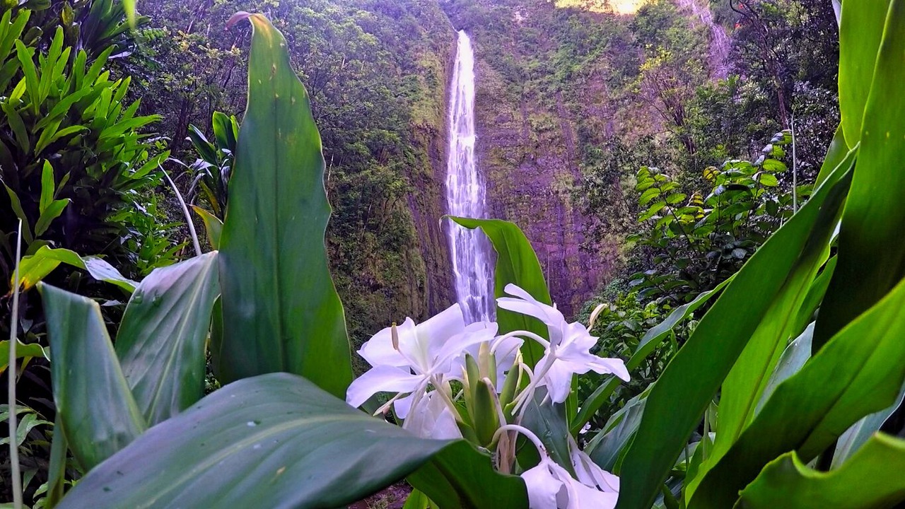 Photo of Outdoor in Kahului