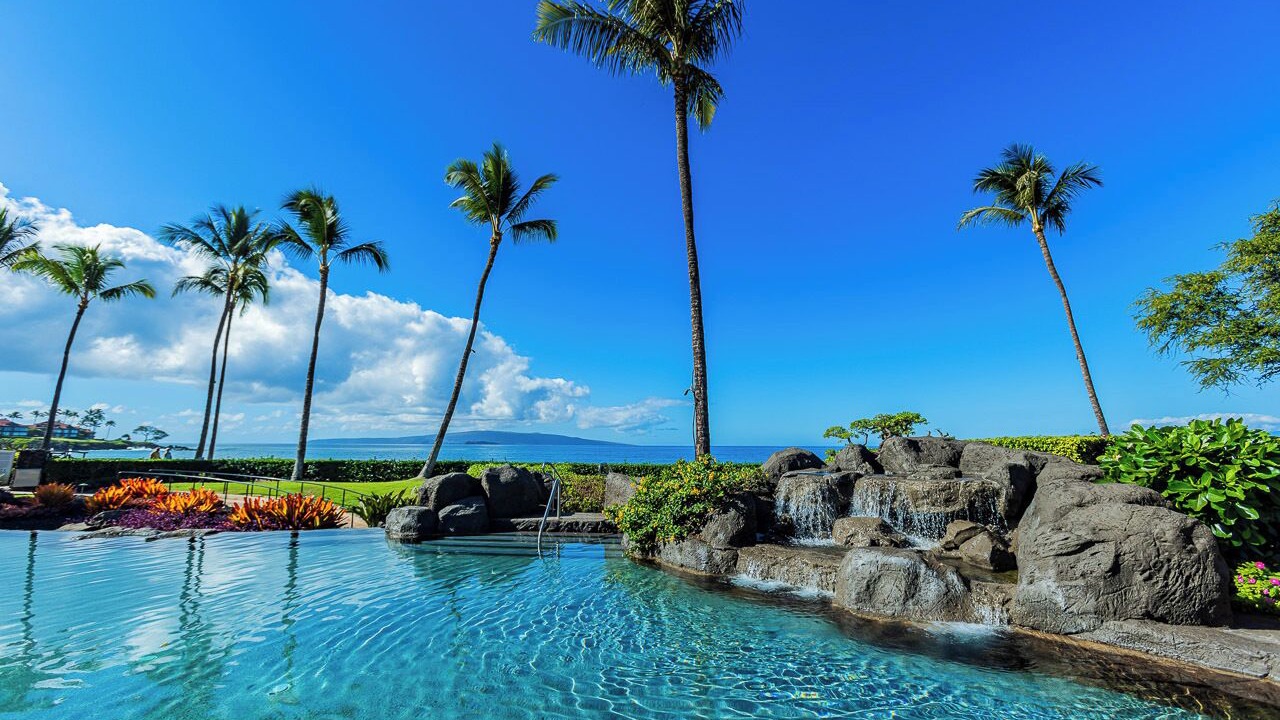 Photo of Others in Wailea