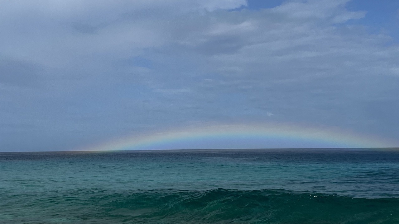 Photo of Others in Pupukea