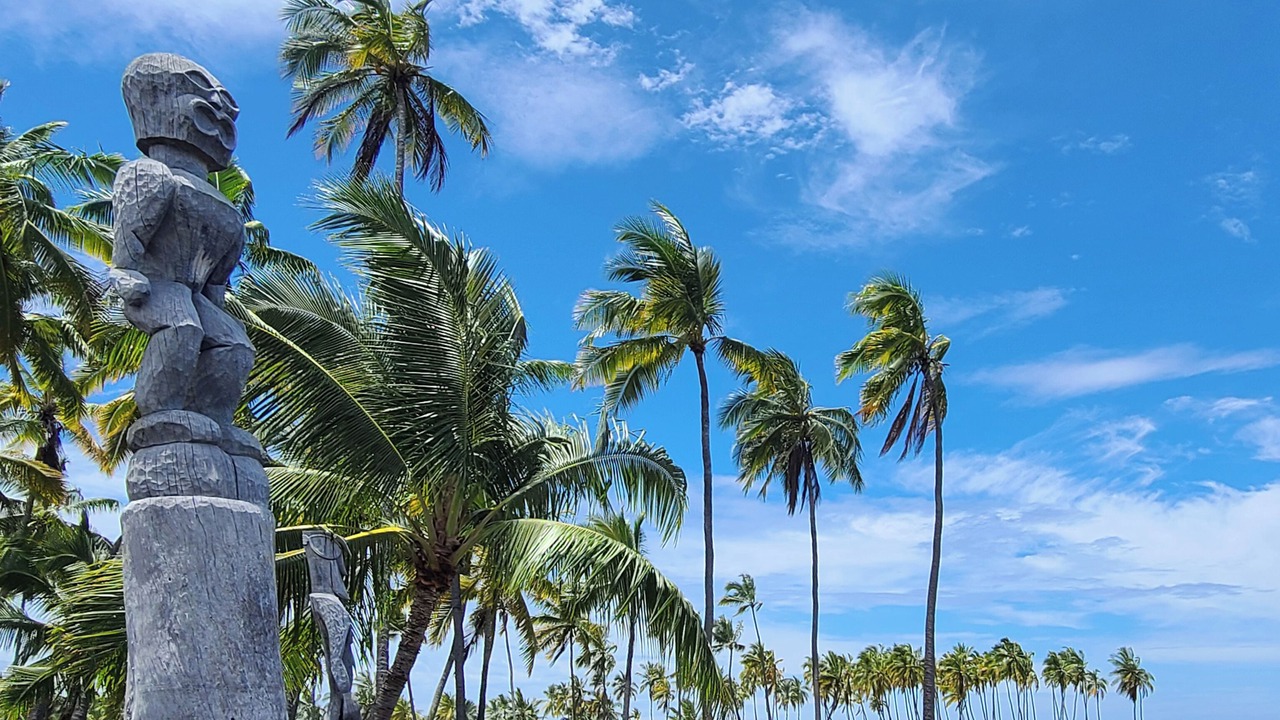Photo of Outdoor in Honaunau-Napoopoo