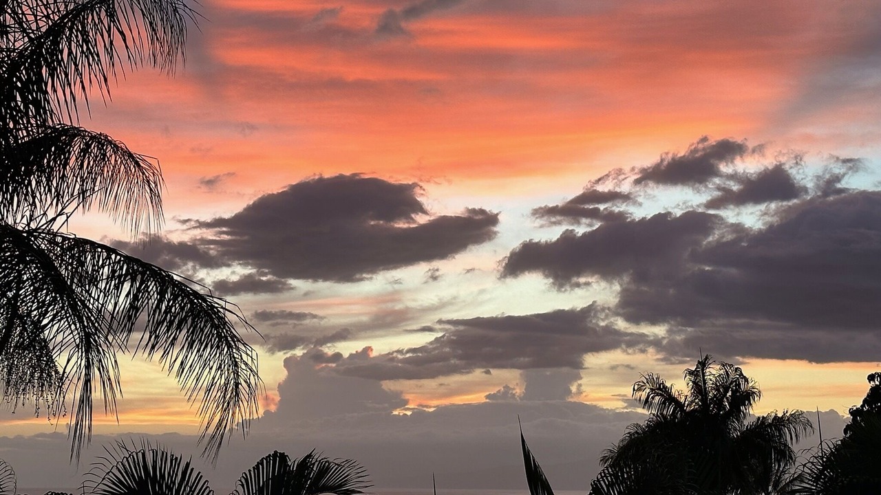 Photo of Others in Wailea