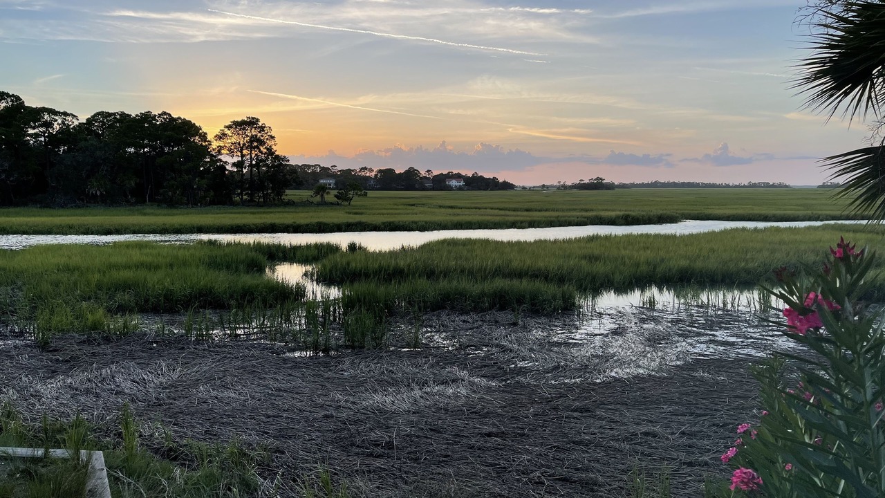 Photo of Others in Saint Helena Island