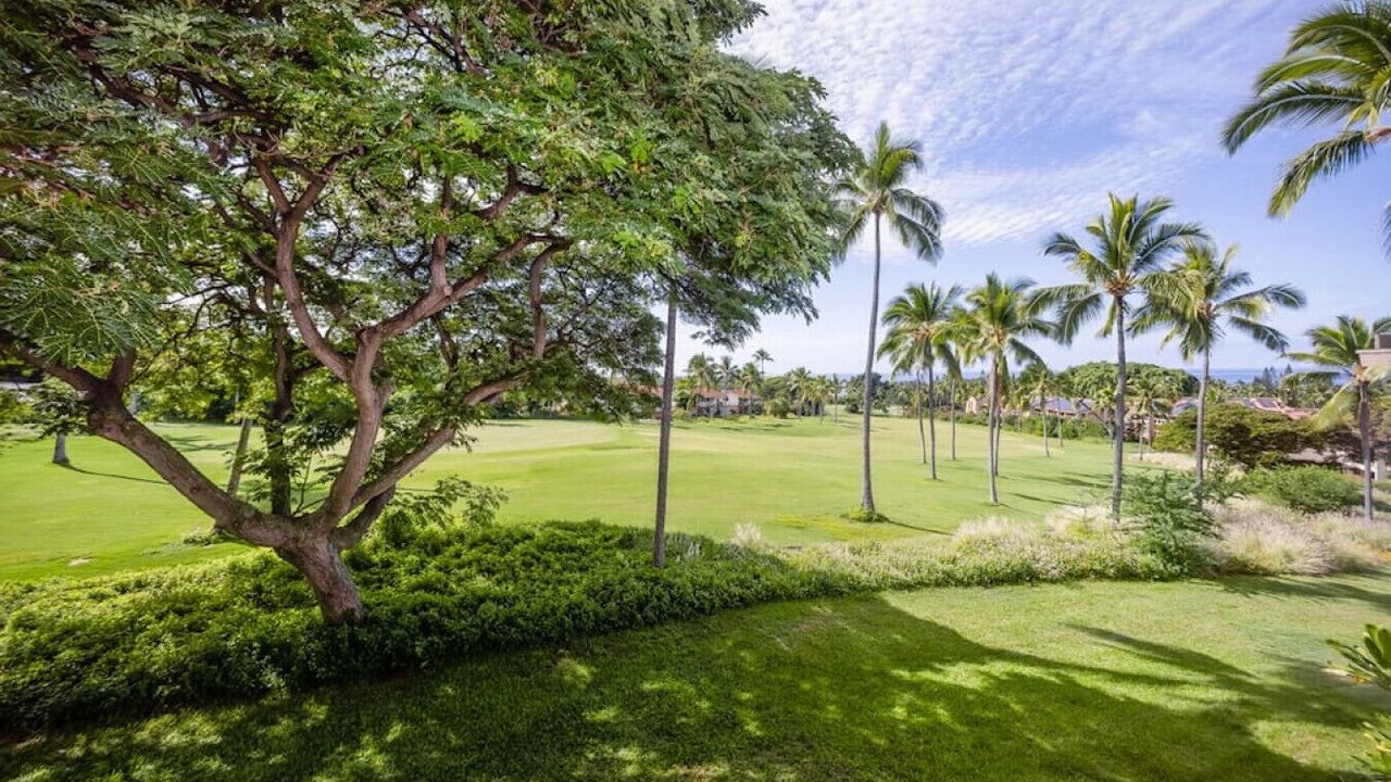 Photo of Others in Kahaluu-Keauhou