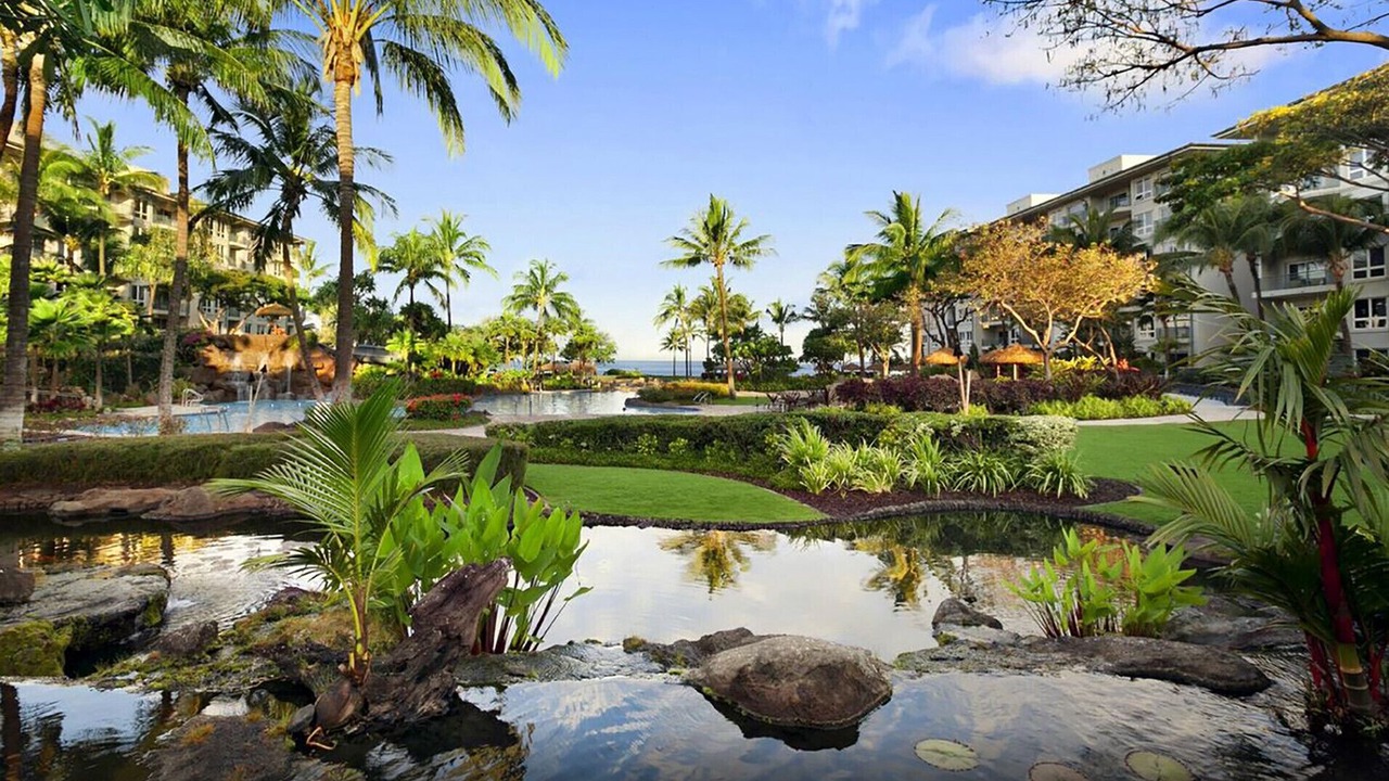 Photo of Outdoor in Kaanapali
