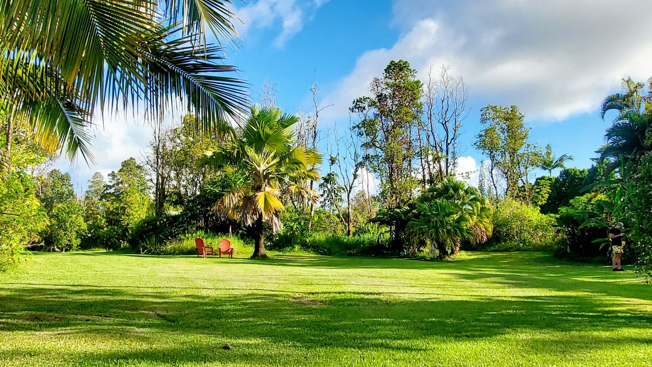 Photo of Outdoor in Leilani Estates