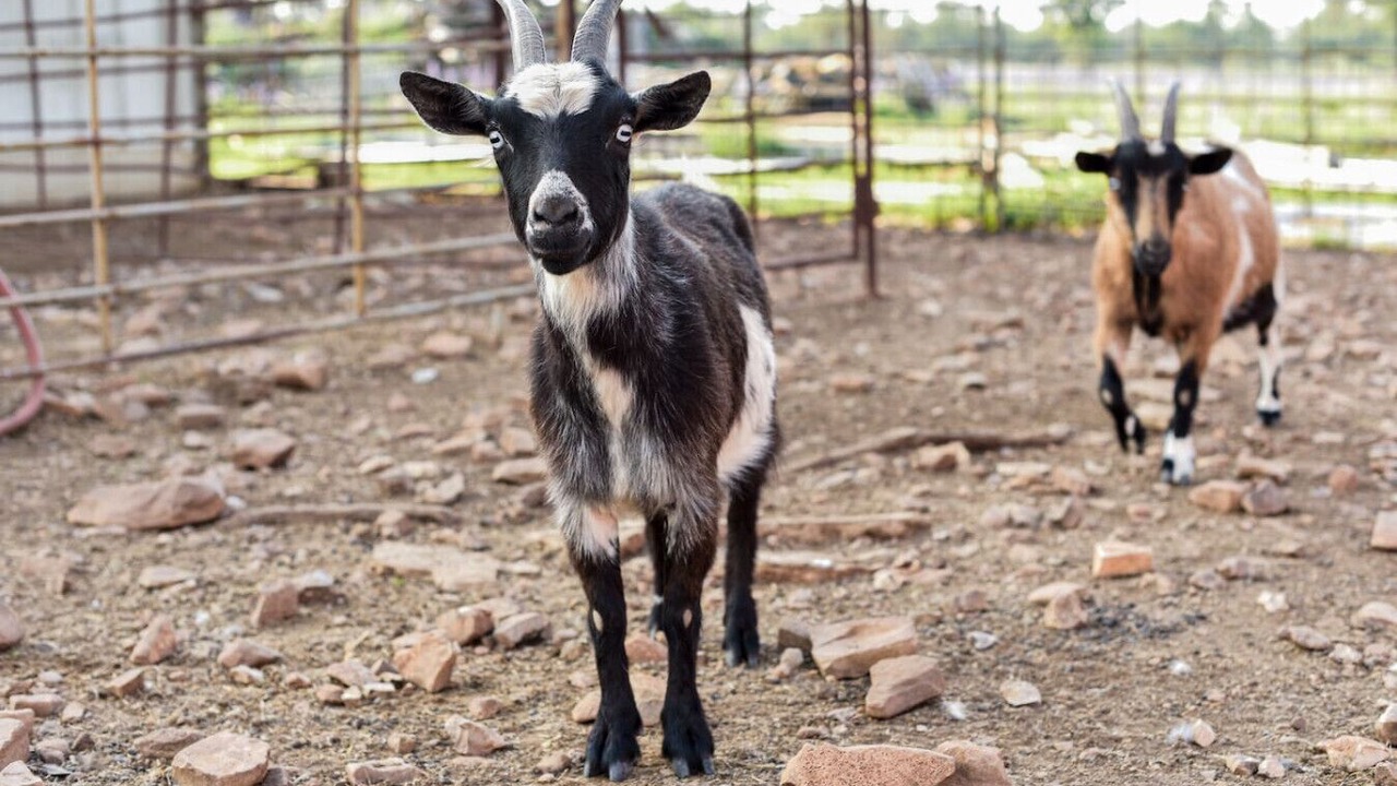 Photo of Others in Fredericksburg