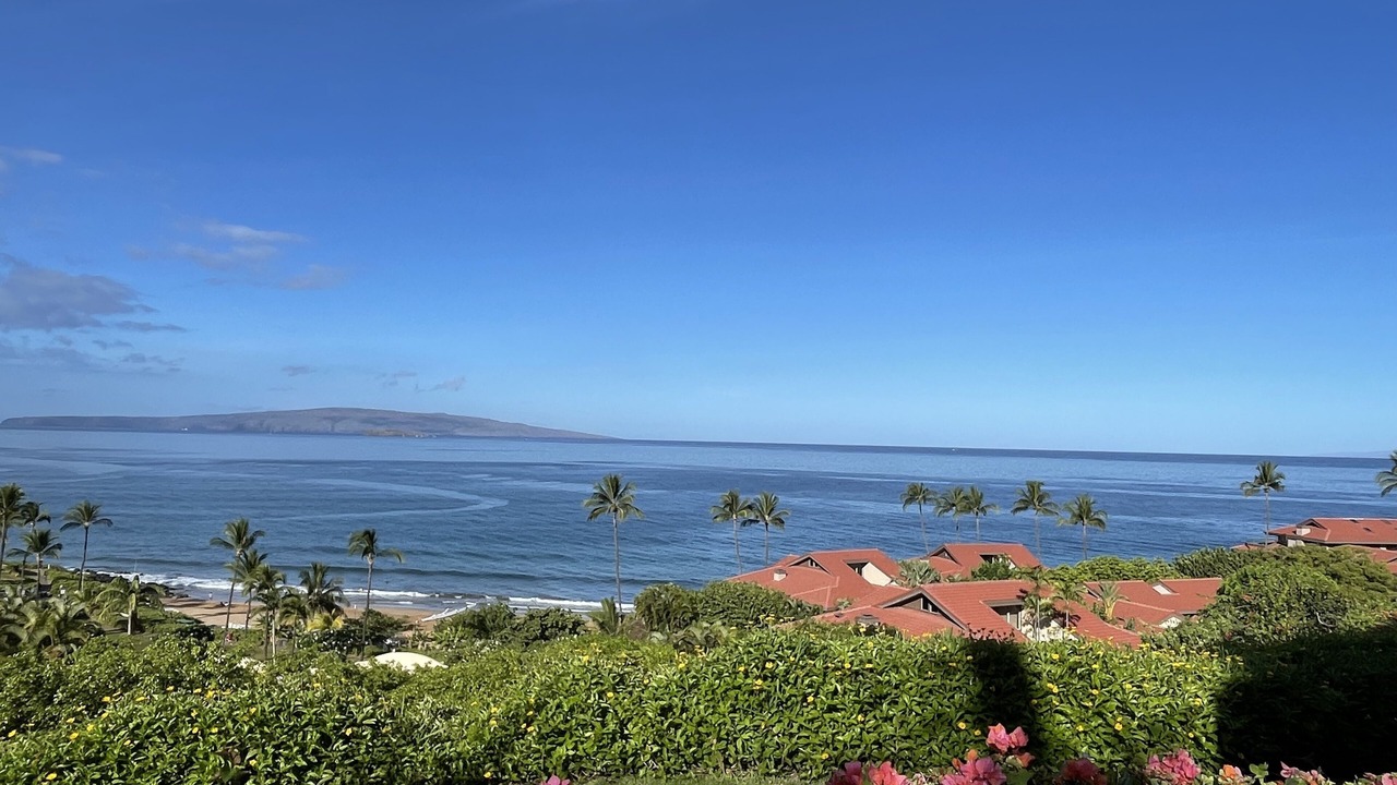 Photo of Others in Wailea