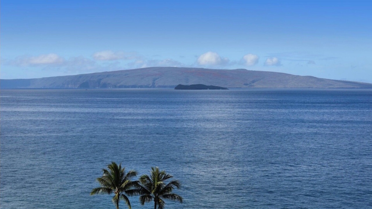 Photo of Others in Wailea