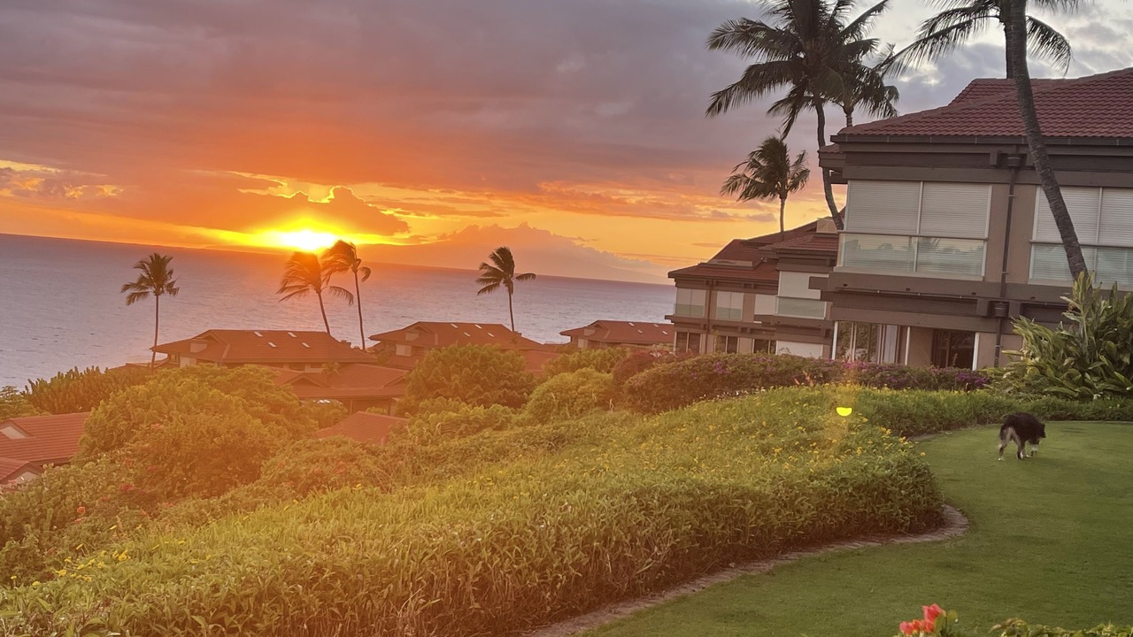 Photo of Outdoor in Wailea
