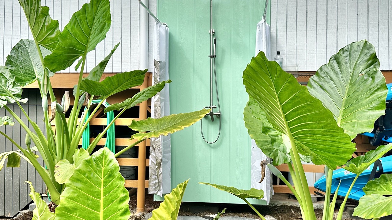 Photo of Outdoor in Keaau