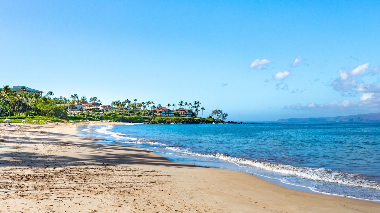 Photo of Others in Wailea