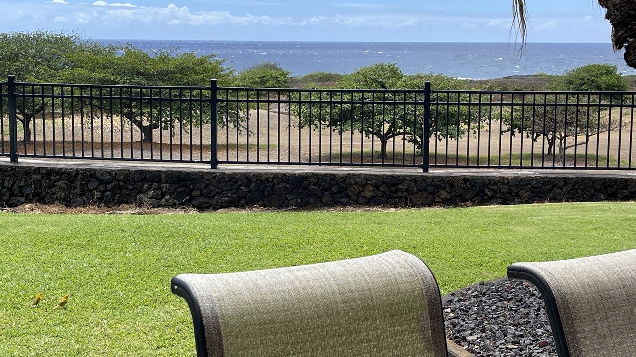 Photo of Outdoor in Punaluu