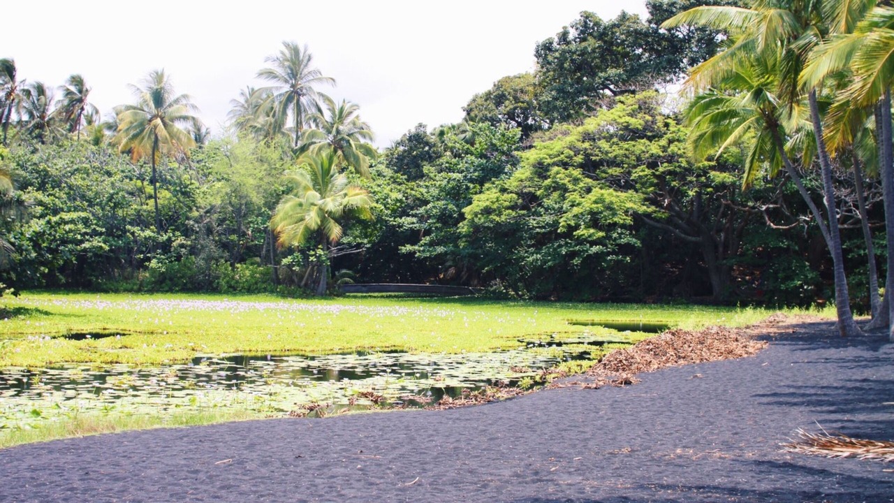 Photo of Outdoor in Punaluu