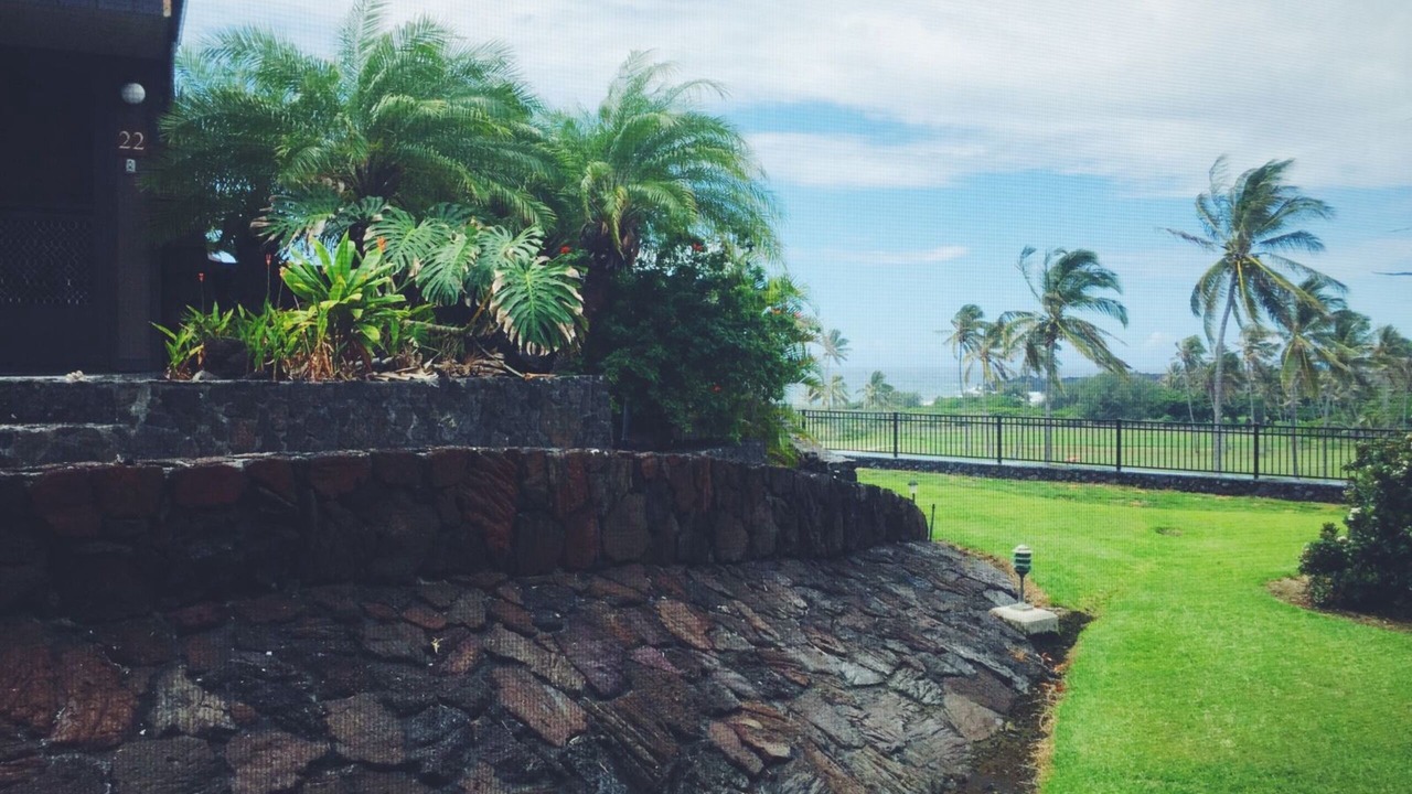 Photo of Outdoor in Punaluu