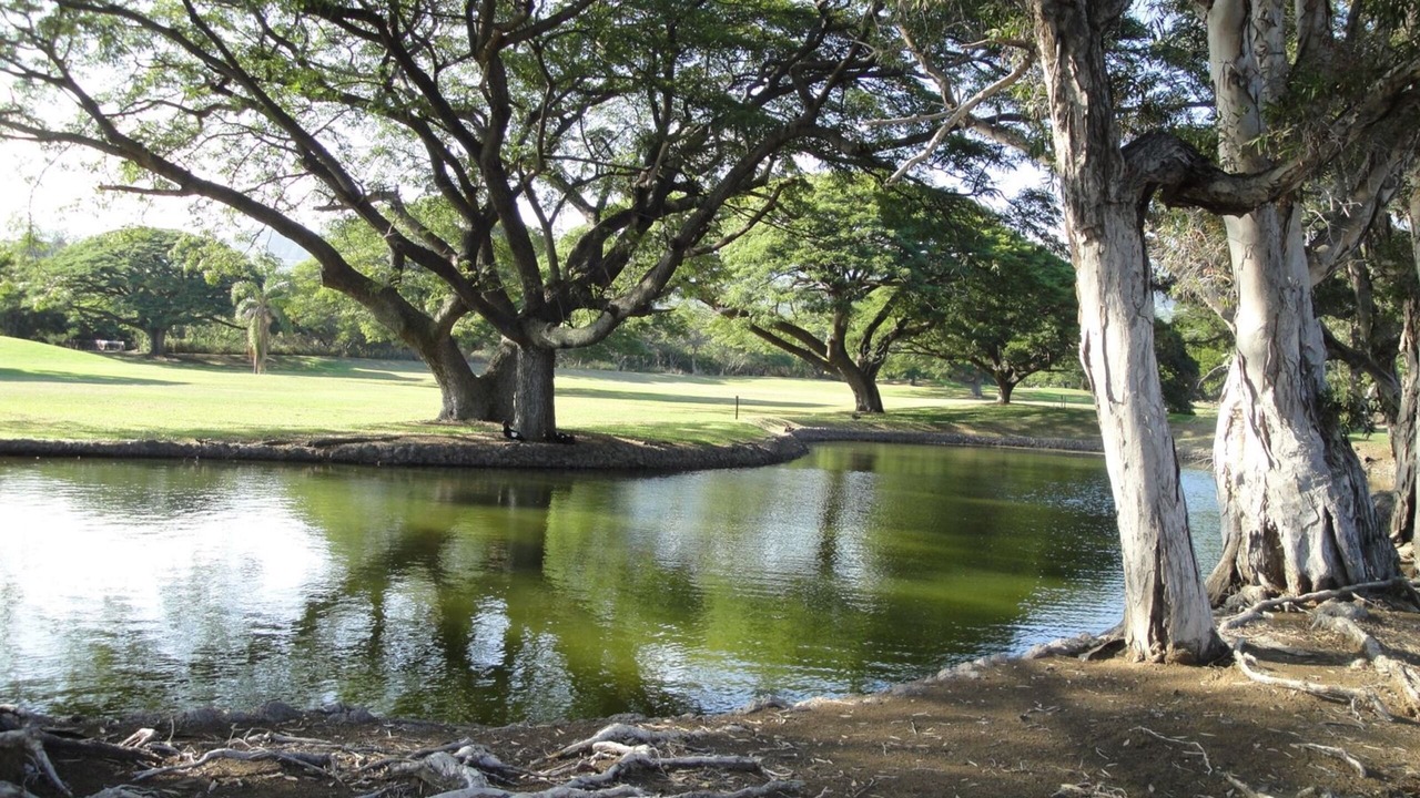 Photo of Outdoor in Punaluu