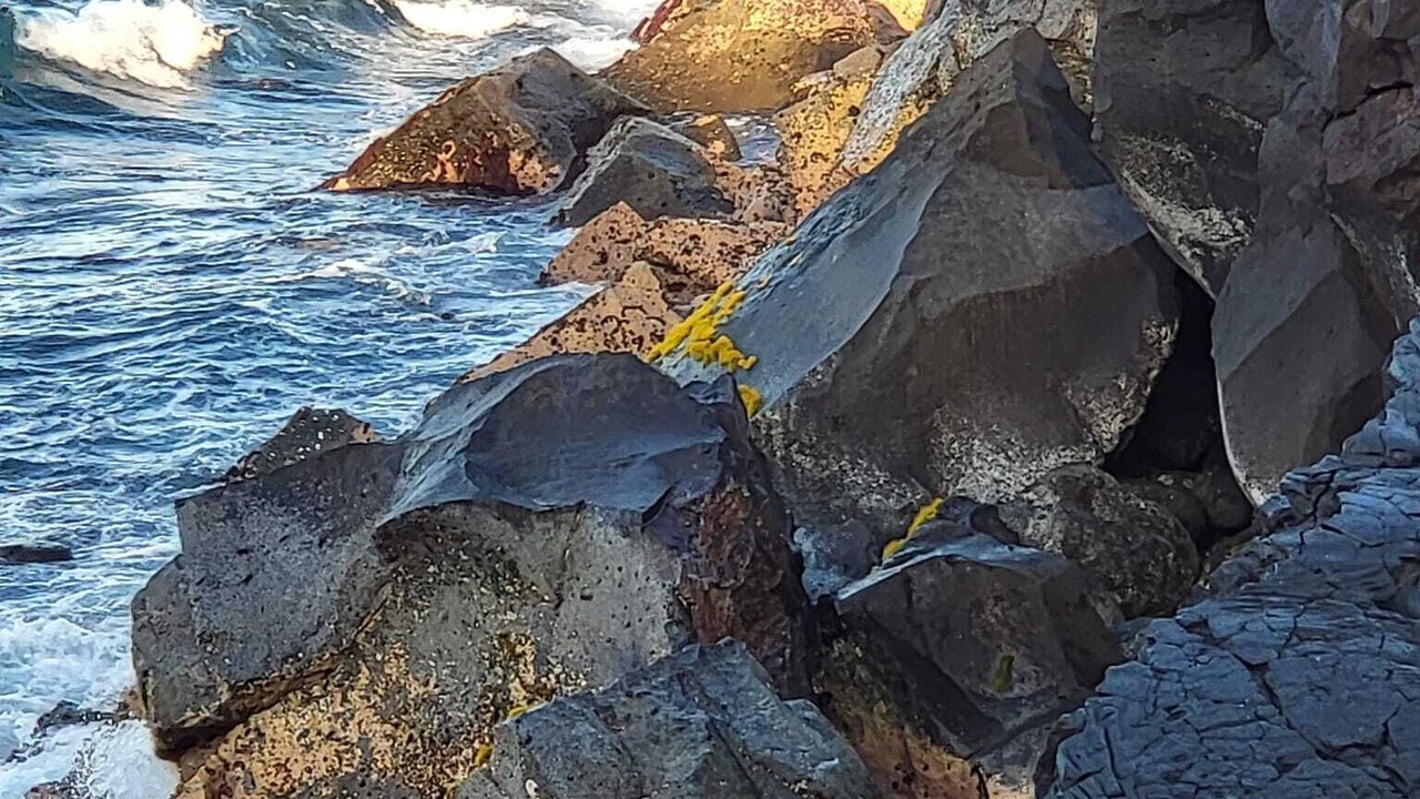 Photo of Others in Keaau