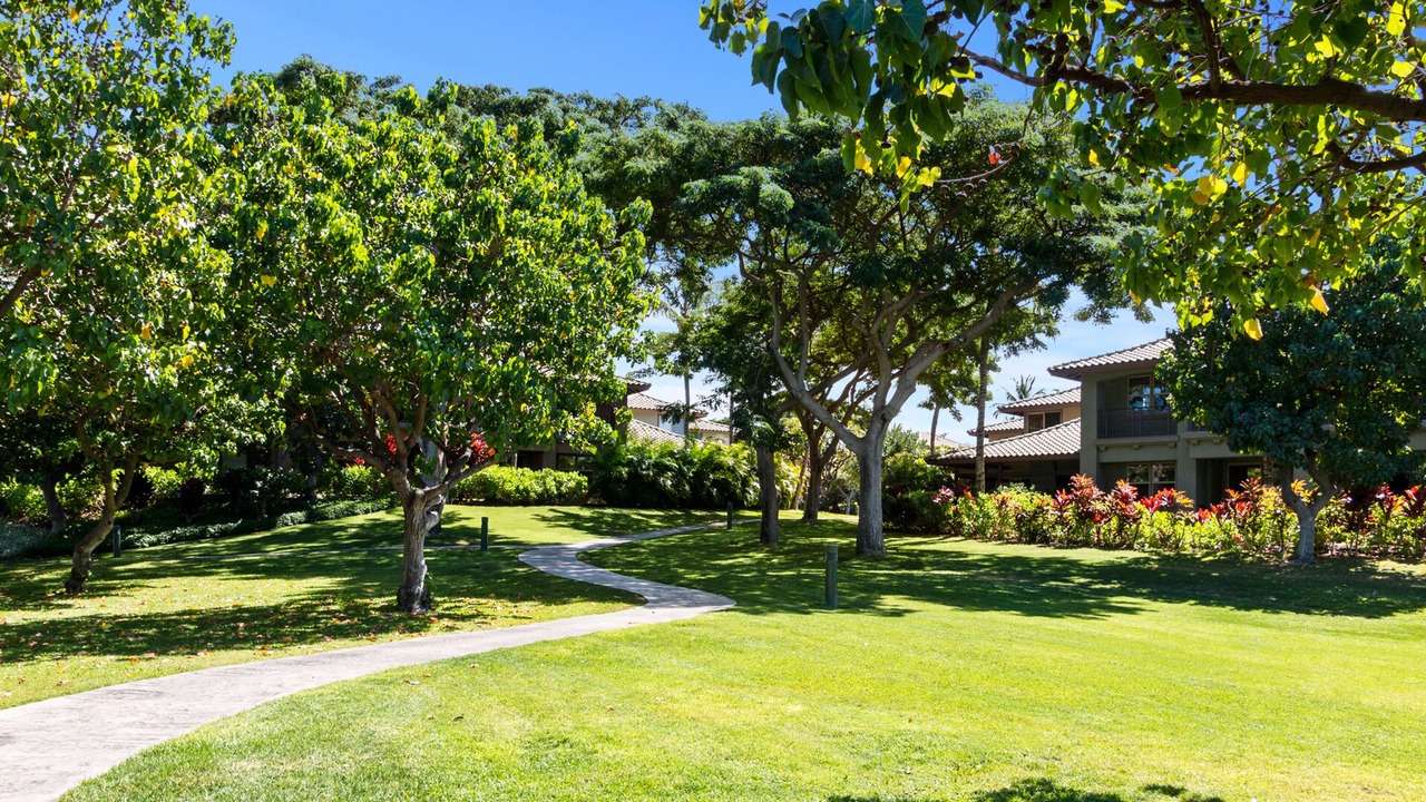 Photo of Outdoor in Kamuela