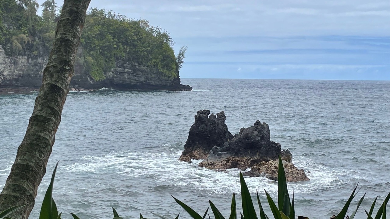 Photo of Others in Historic Kailua Village
