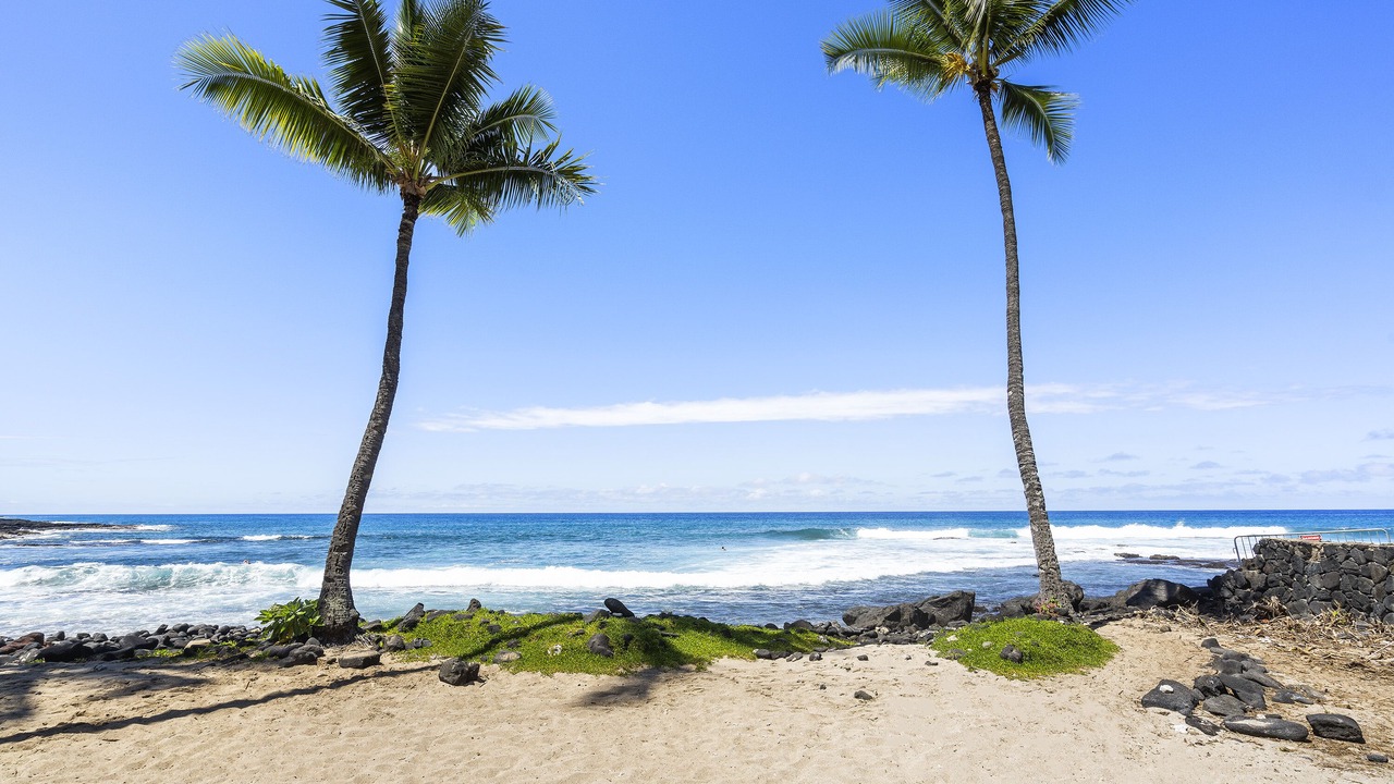 Photo of Others in Historic Kailua Village