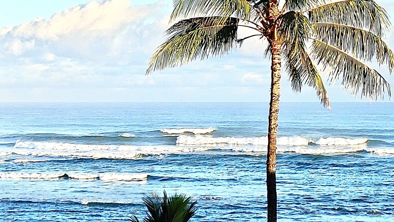 Photo of Others in Mokuleia