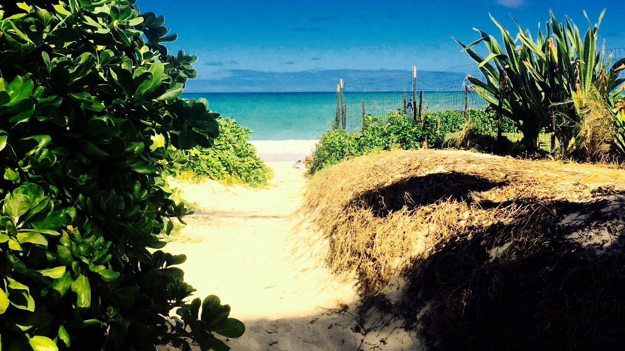 Photo of Others in Kailua