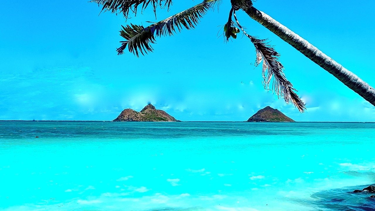 Photo of Others in Kailua