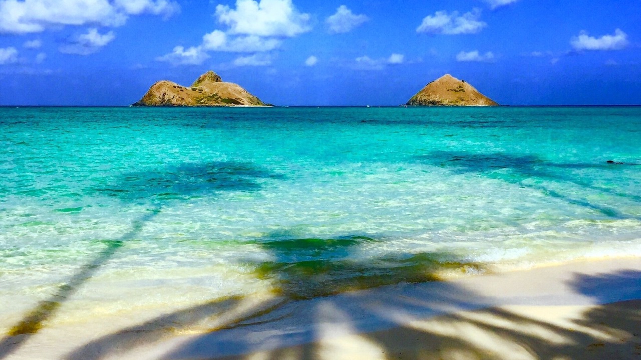 Photo of Others in Kailua