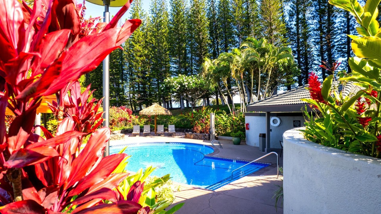 Photo of Outdoor in Kapalua