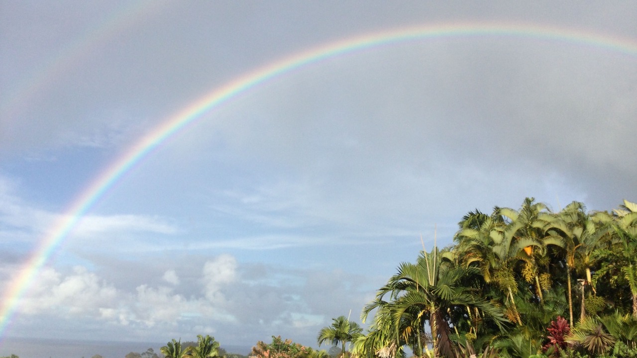 Photo of Others in Honomu