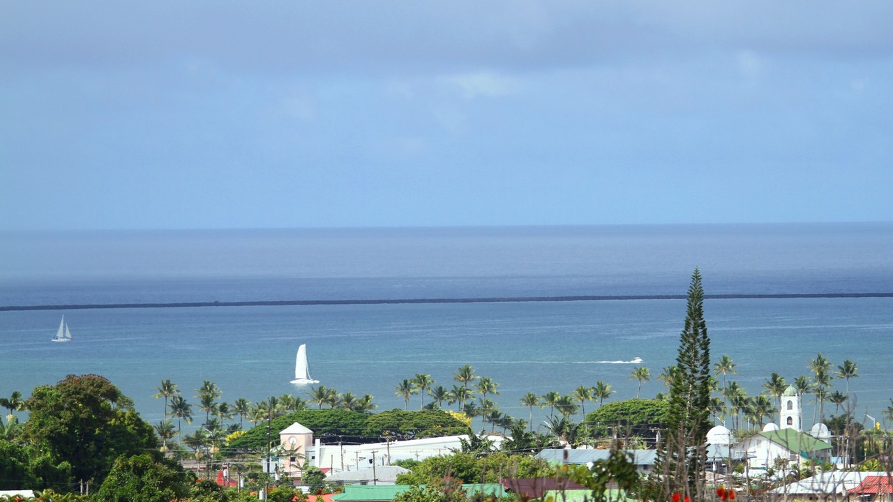 Photo of Others in Hilo