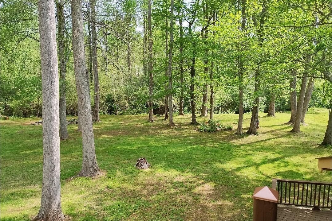 Photo of Outdoor in Cornelia