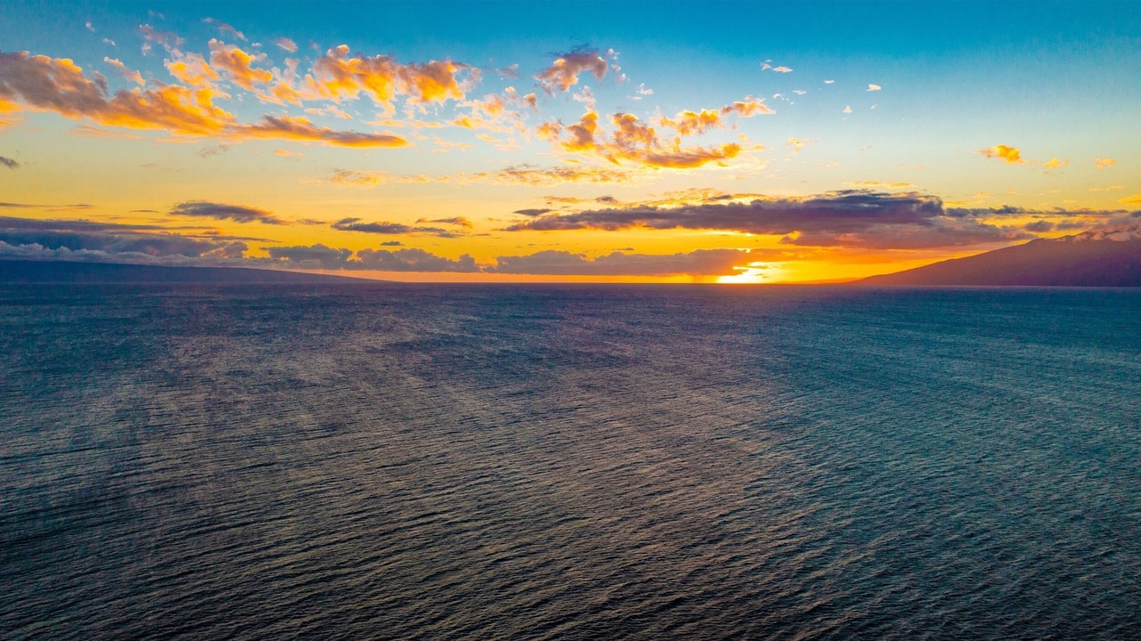 Photo of Others in Napili