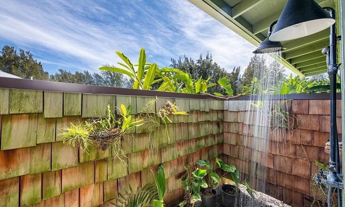 Photo of Outdoor in Kapaau