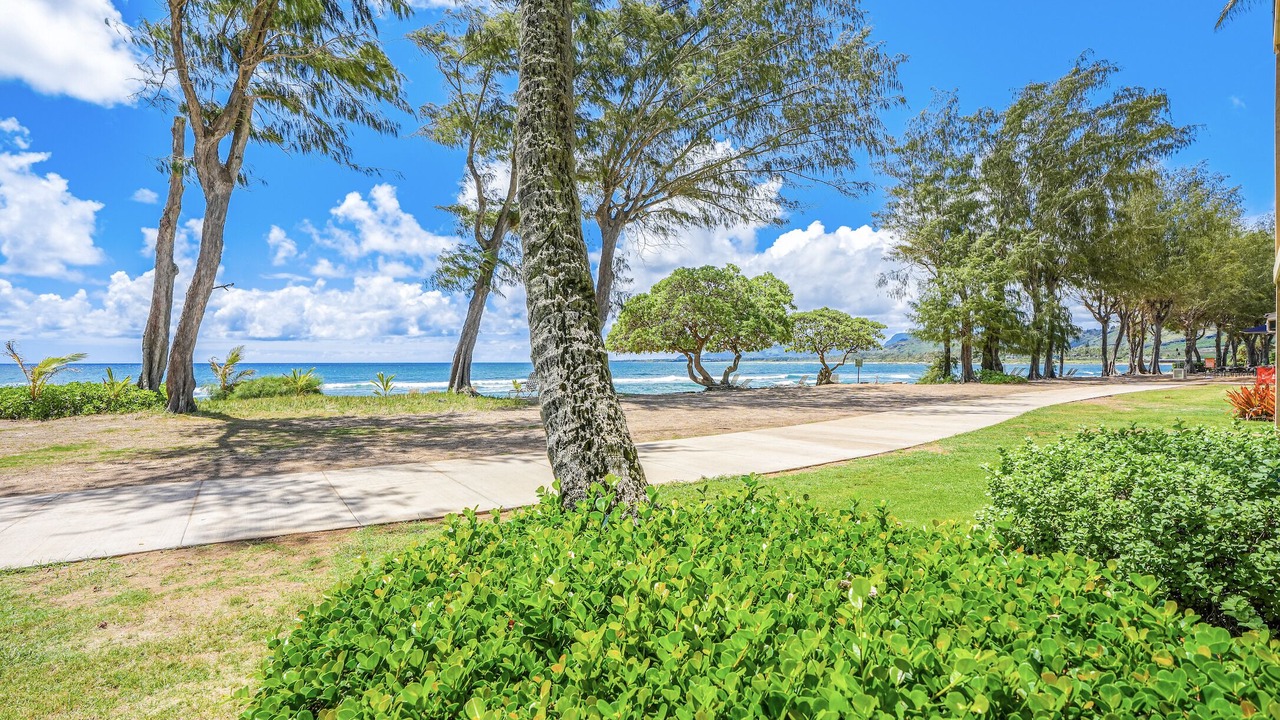 Photo of Outdoor in Wailua