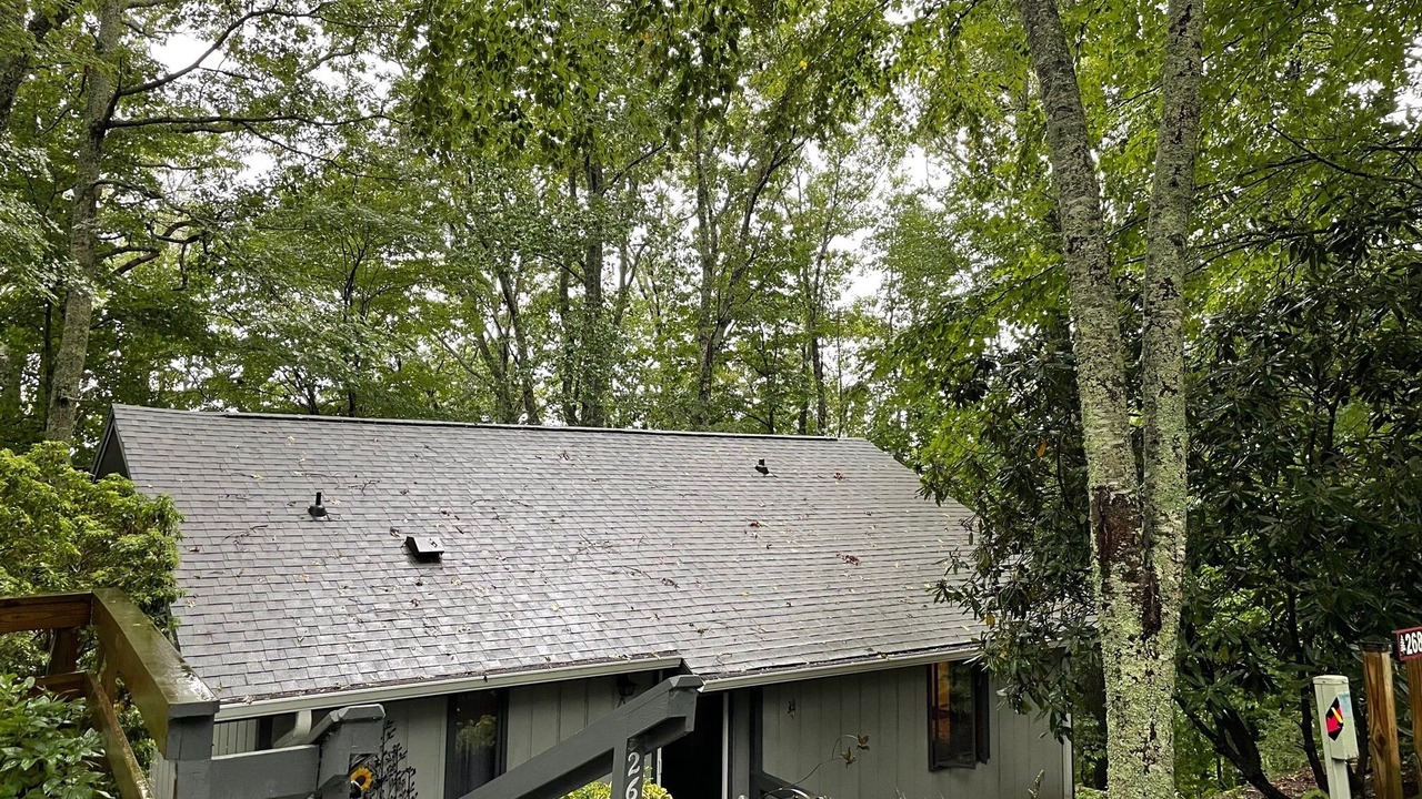 Photo of Outdoor in Newland