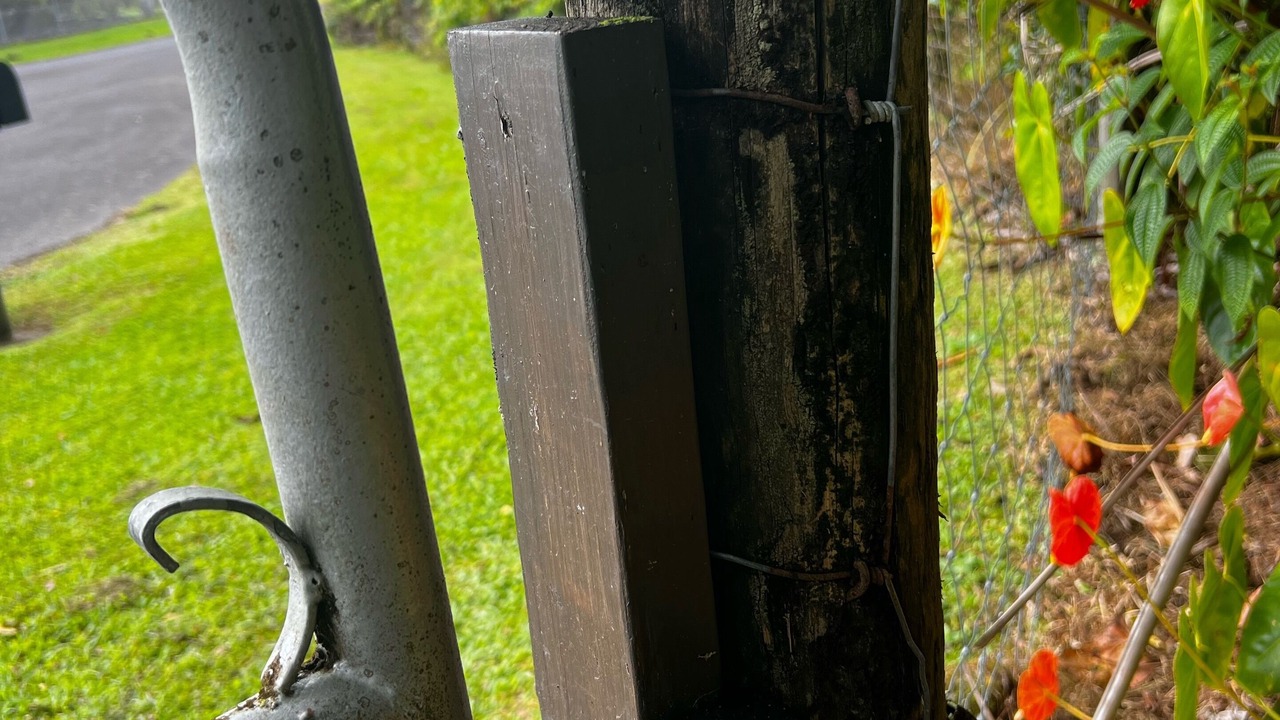 Photo of Others in Hilo