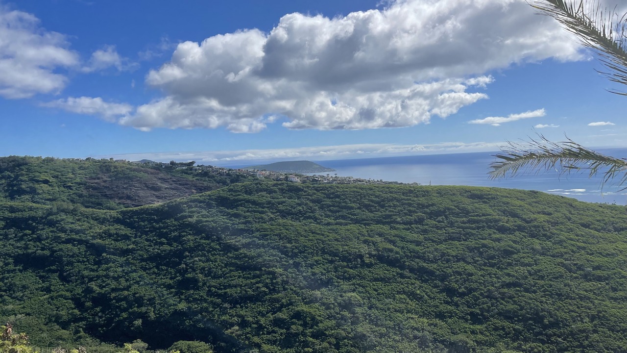 Photo of Others in Kahala
