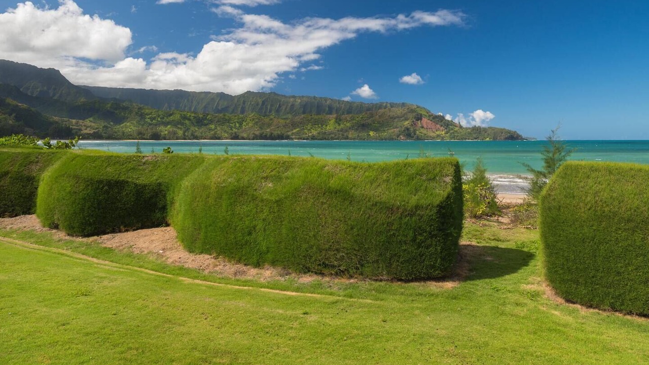 Photo of Others in Hanalei