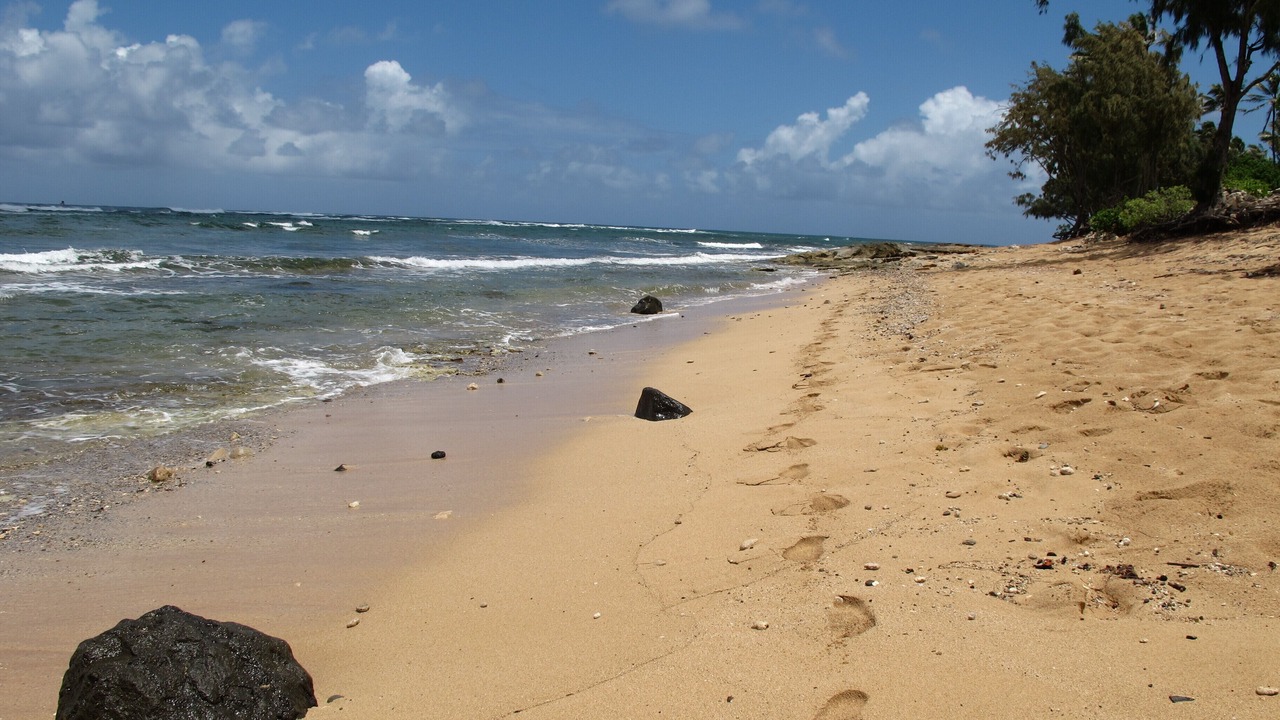 Photo of Others in Pupukea