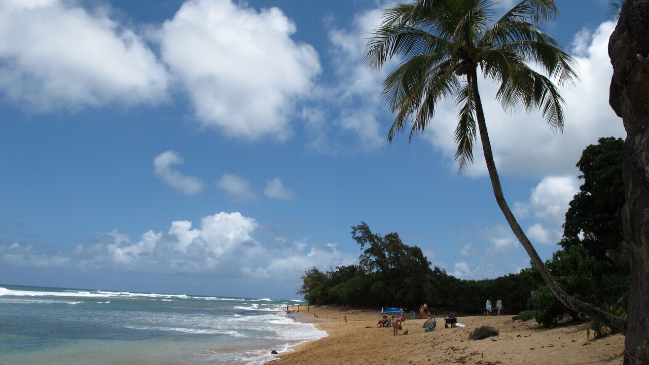 Photo of Others in Pupukea