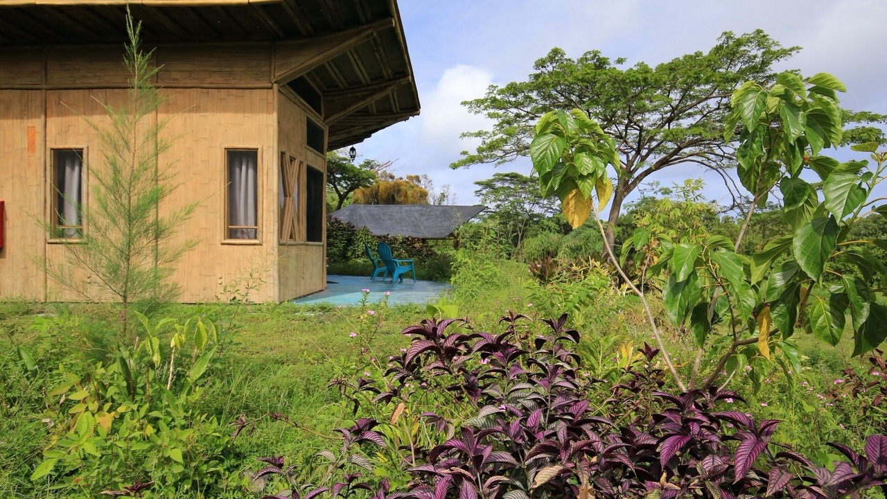 Photo of Bedroom in Pahoa