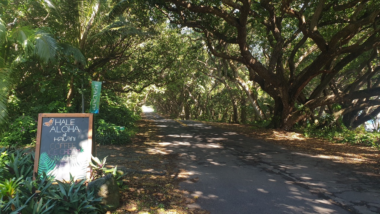Photo of Others in Pahoa