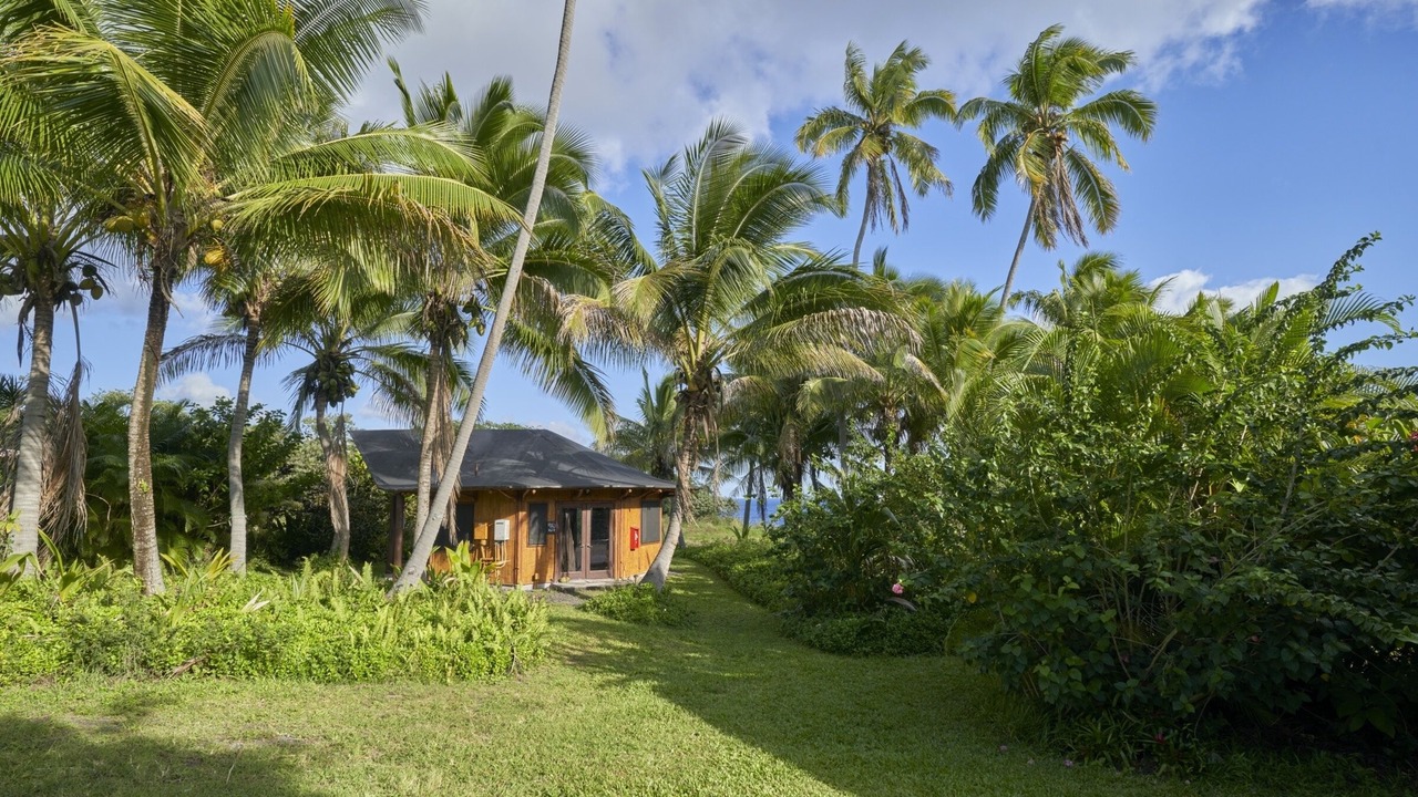 Photo of Outdoor in Pahoa