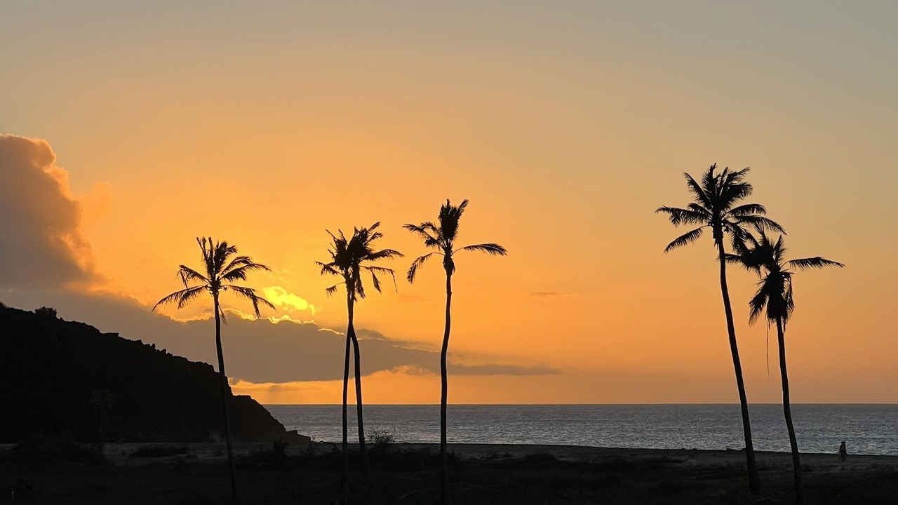Photo of Others in Maunaloa