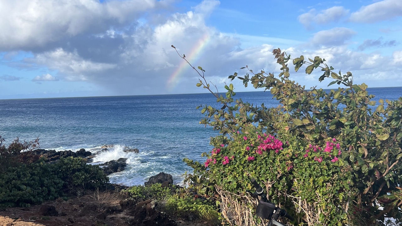 Photo of Outdoor in Maunaloa