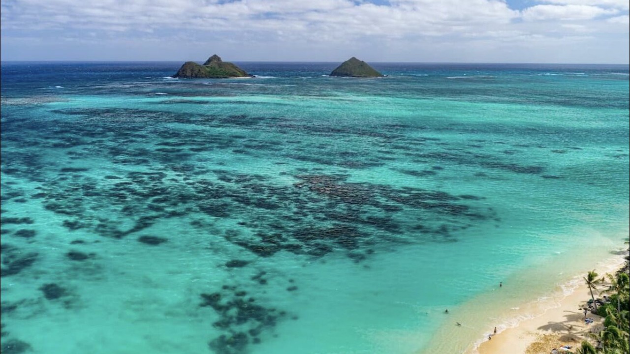 Photo of Others in Kailua