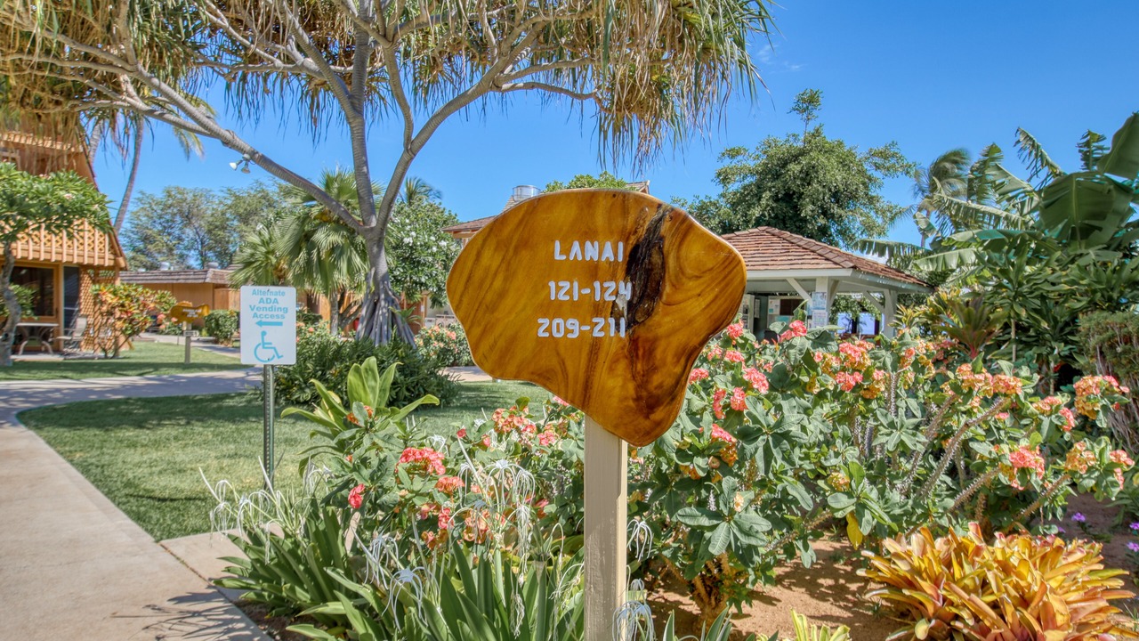 Photo of Outdoor in Kaunakakai