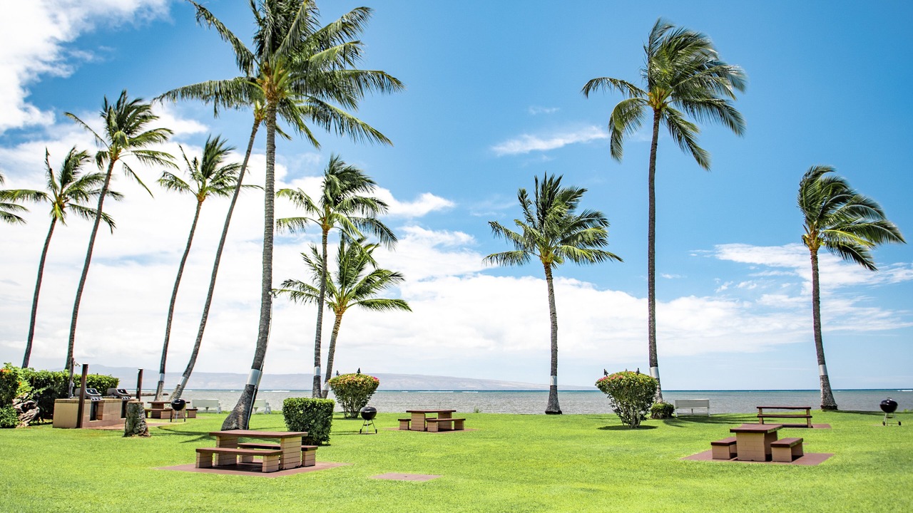 Photo of Outdoor in Kaunakakai