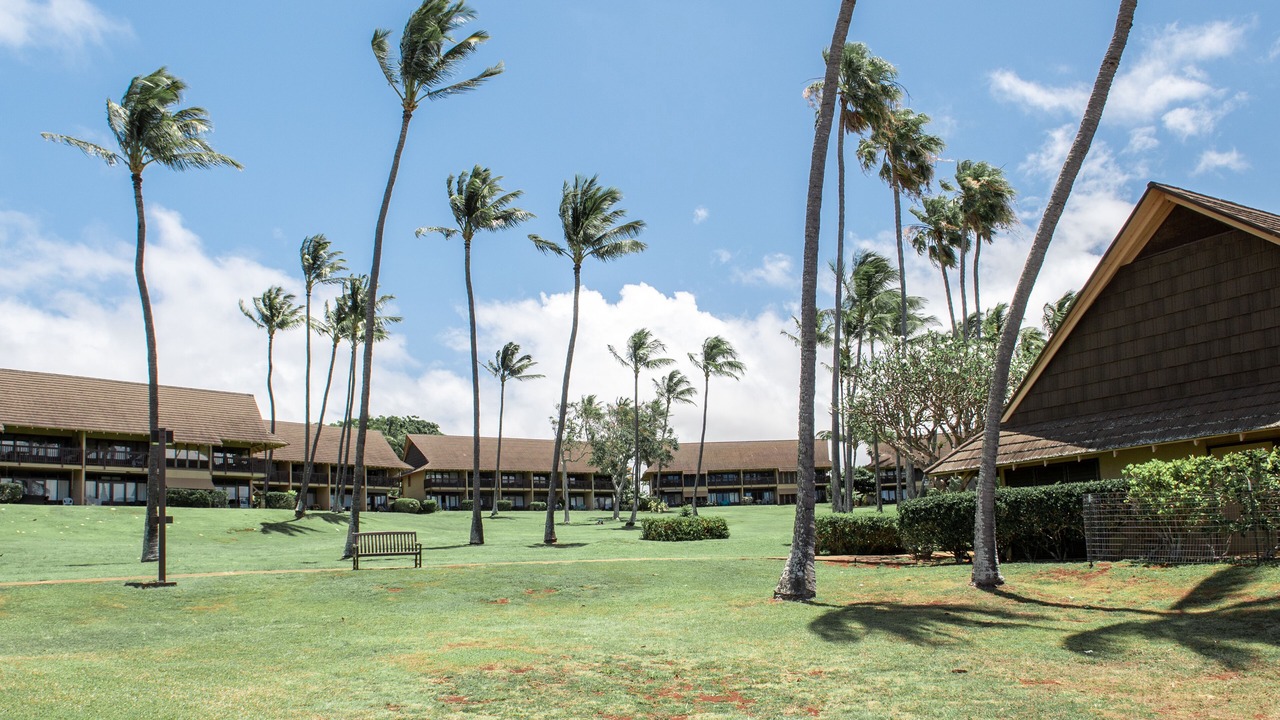 Photo of Outdoor in Maunaloa